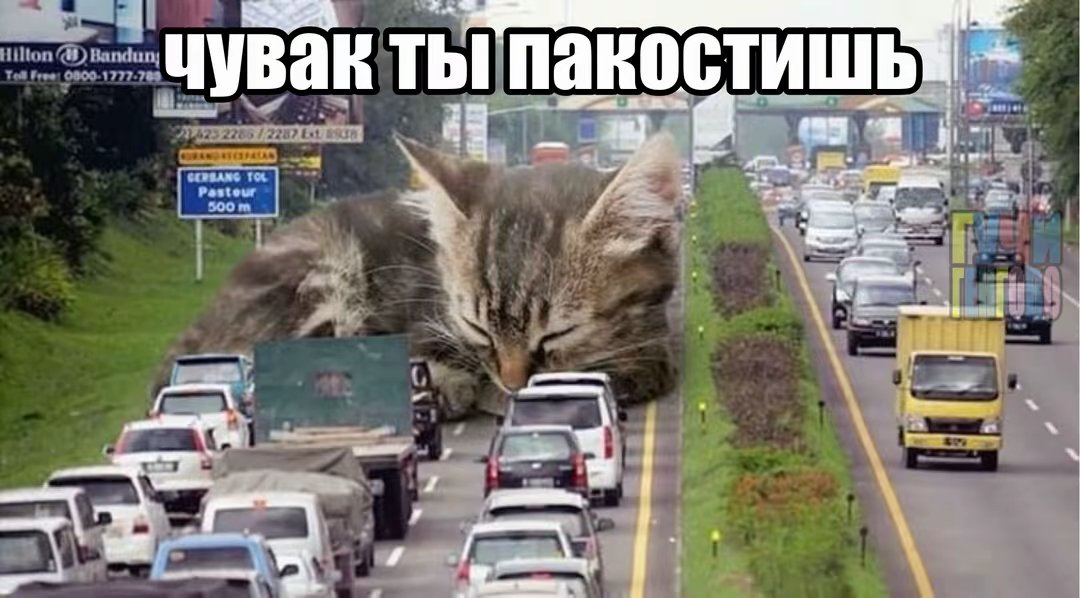cherrsiff's tweet photo. @6qh3uw https://t.co/M2TwmMhFSa
