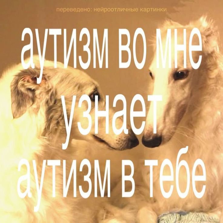 cherrsiff's tweet photo. @6qh3uw https://t.co/M2TwmMhFSa