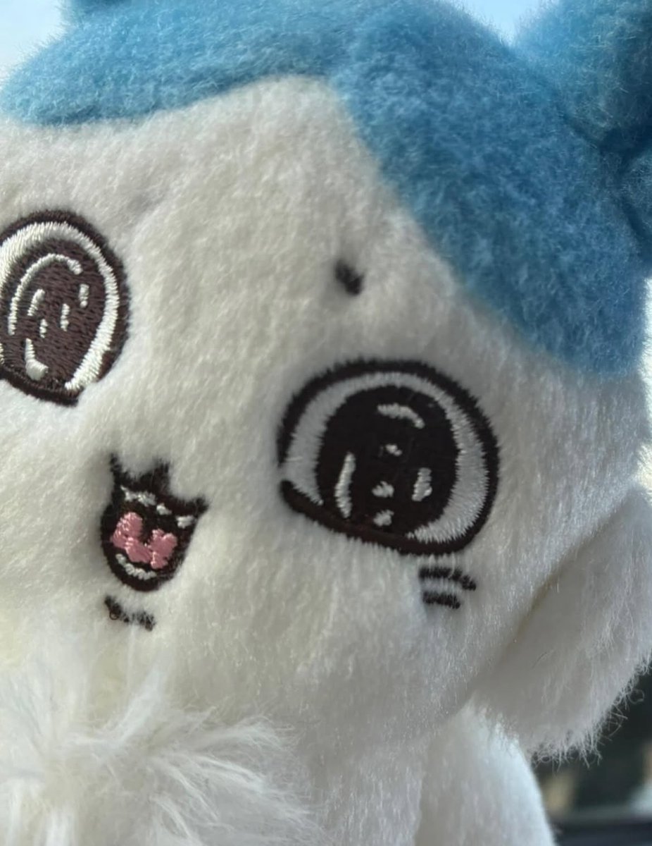 DsS1h's tweet photo. タピオカアイコンじゃないんですよ私って
大好きなハチワレさんなんですよ https://t.co/Oitc2bIlHZ