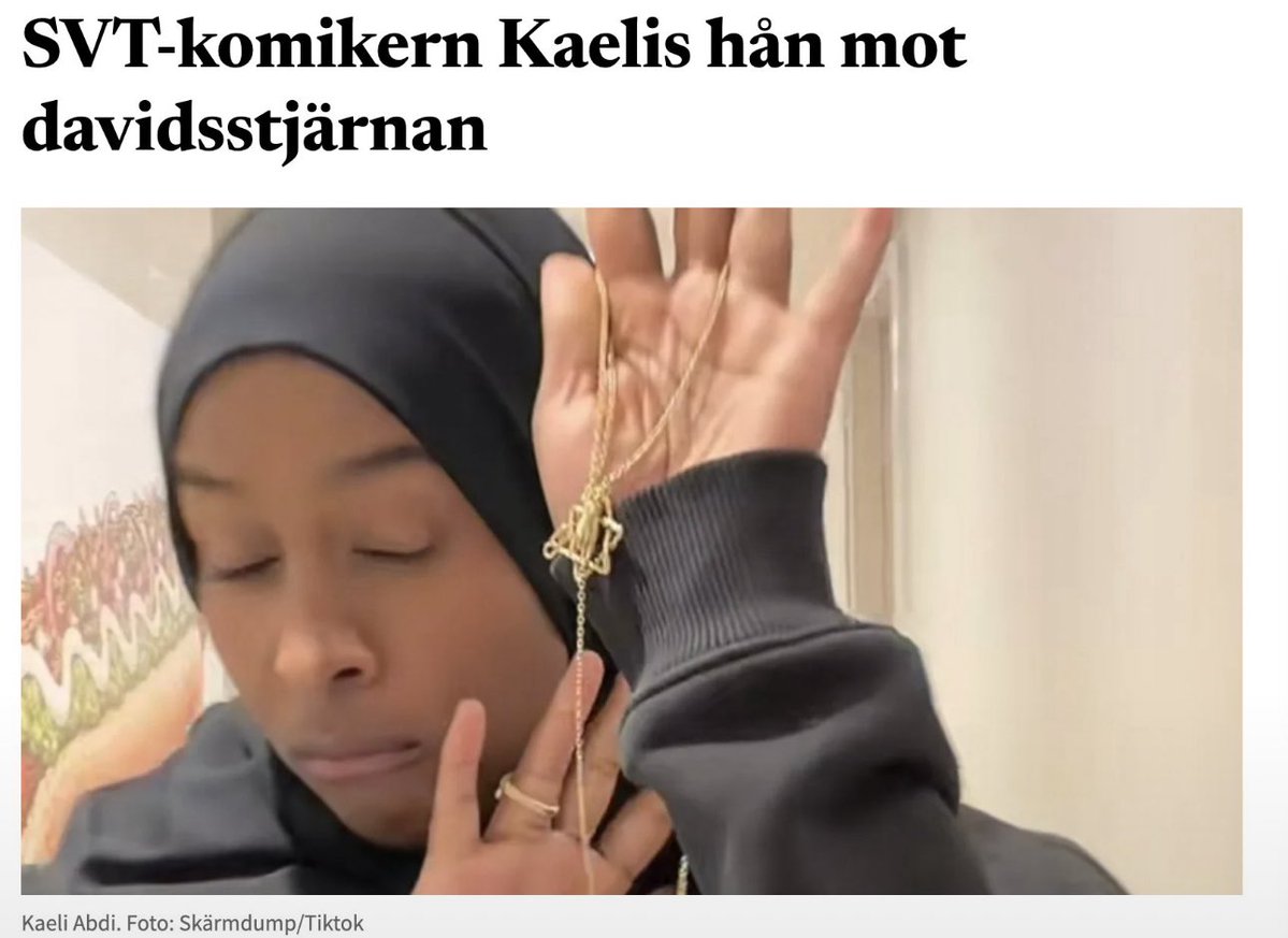 katjanouch's tweet photo. De här individerna är fan sjuka i huvet. Men får de nån kritik från sin politiskt korrekta uppdragsgivare public service? Knappast. Fy fan på ren svenska. https://t.co/9iiTCCQzii