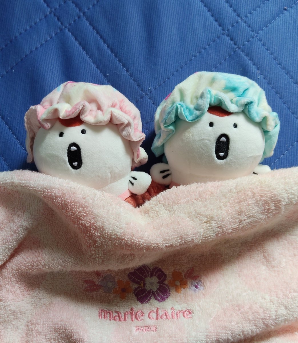 Evegal0909's tweet photo. おやすみなさ〜い😪 https://t.co/ZygC593B6j