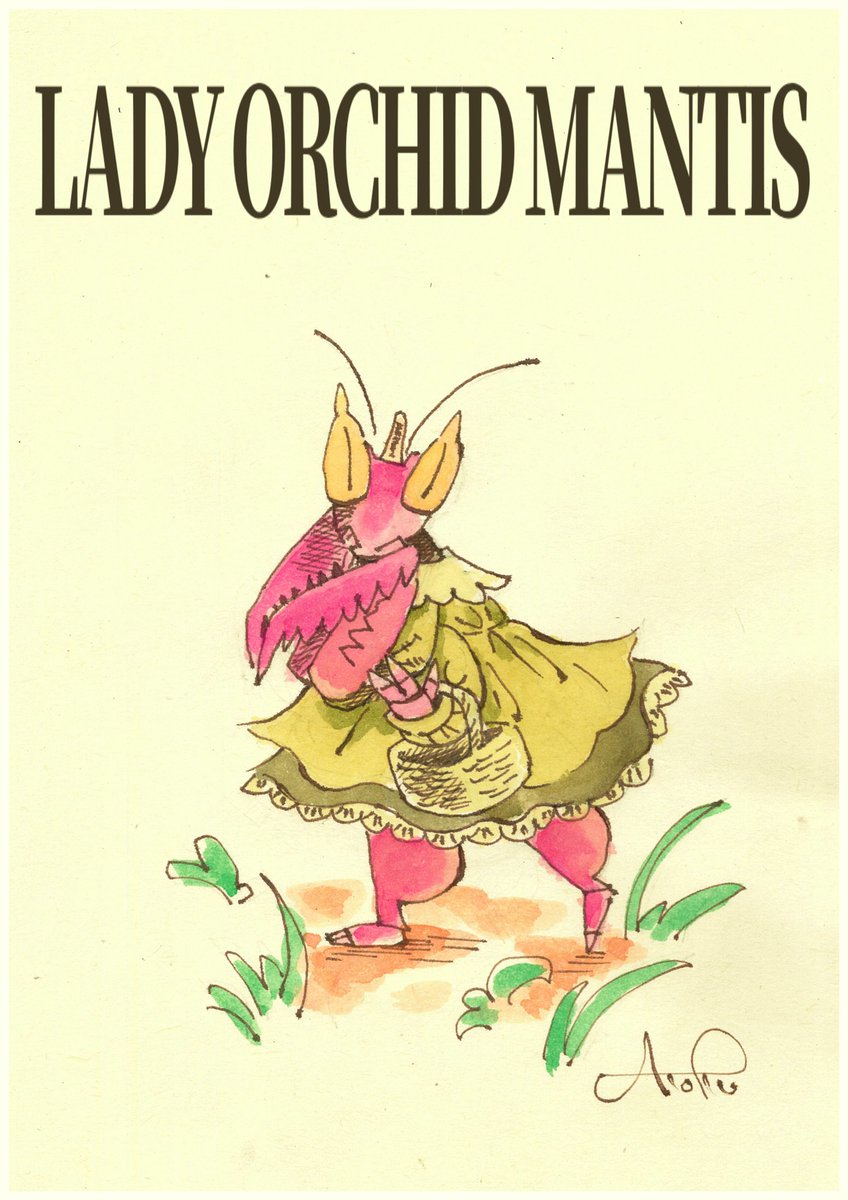 asihida_asihida's tweet photo. Lady Orchid Mantis https://t.co/Vp3pLJ32sj