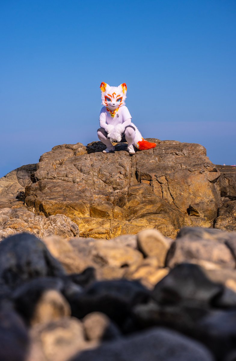 LEF_fursuit's tweet photo. 세상의 위에 선 늑대🐾

#FursuitFriday #레프는여우가아니야 https://t.co/AoSmB2YoiA