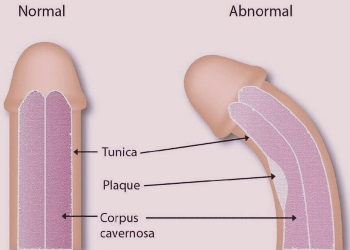 medicaltipp tweet picture