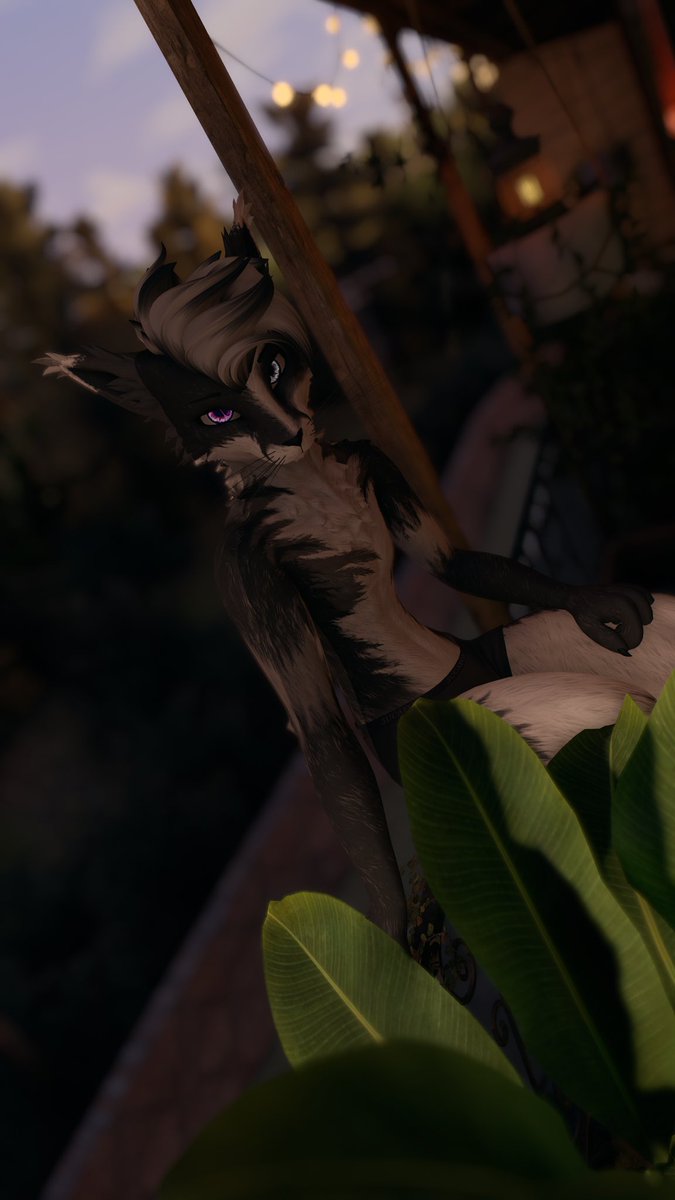 krixoty's tweet photo. UwU~🫠

📷 @navanka40y

#furry #SFW #vrchat #rexouium #fox https://t.co/1XGqqdxFko