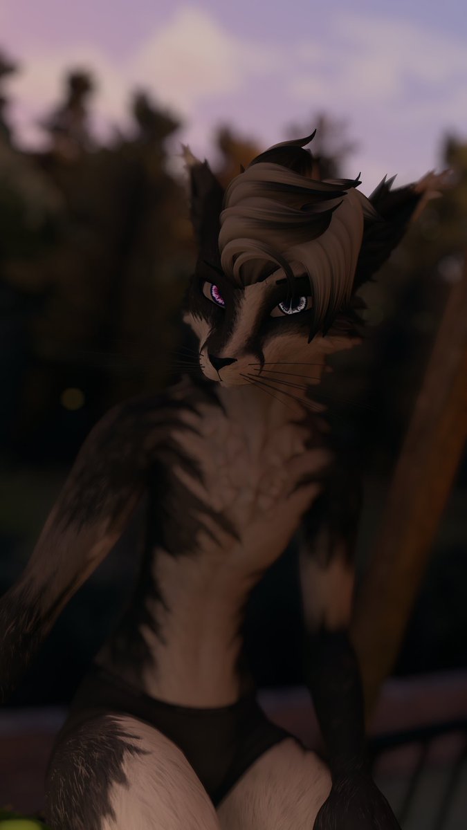 krixoty's tweet photo. UwU~🫠

📷 @navanka40y

#furry #SFW #vrchat #rexouium #fox https://t.co/1XGqqdxFko