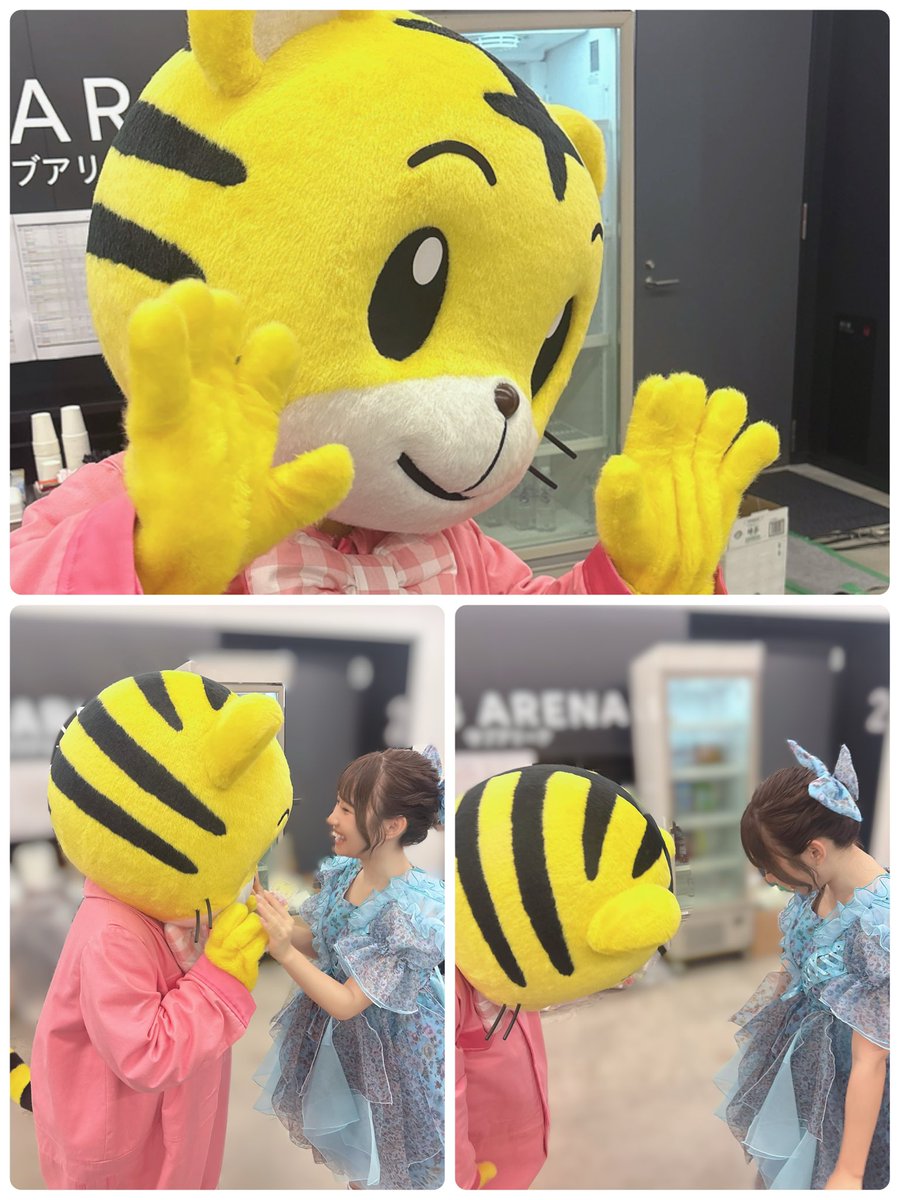 yui_ss0109's tweet photo. しまじろうとお友達になれたんだ✨️🩵
#すいすて #しまじろう https://t.co/Qm0vUJKTii