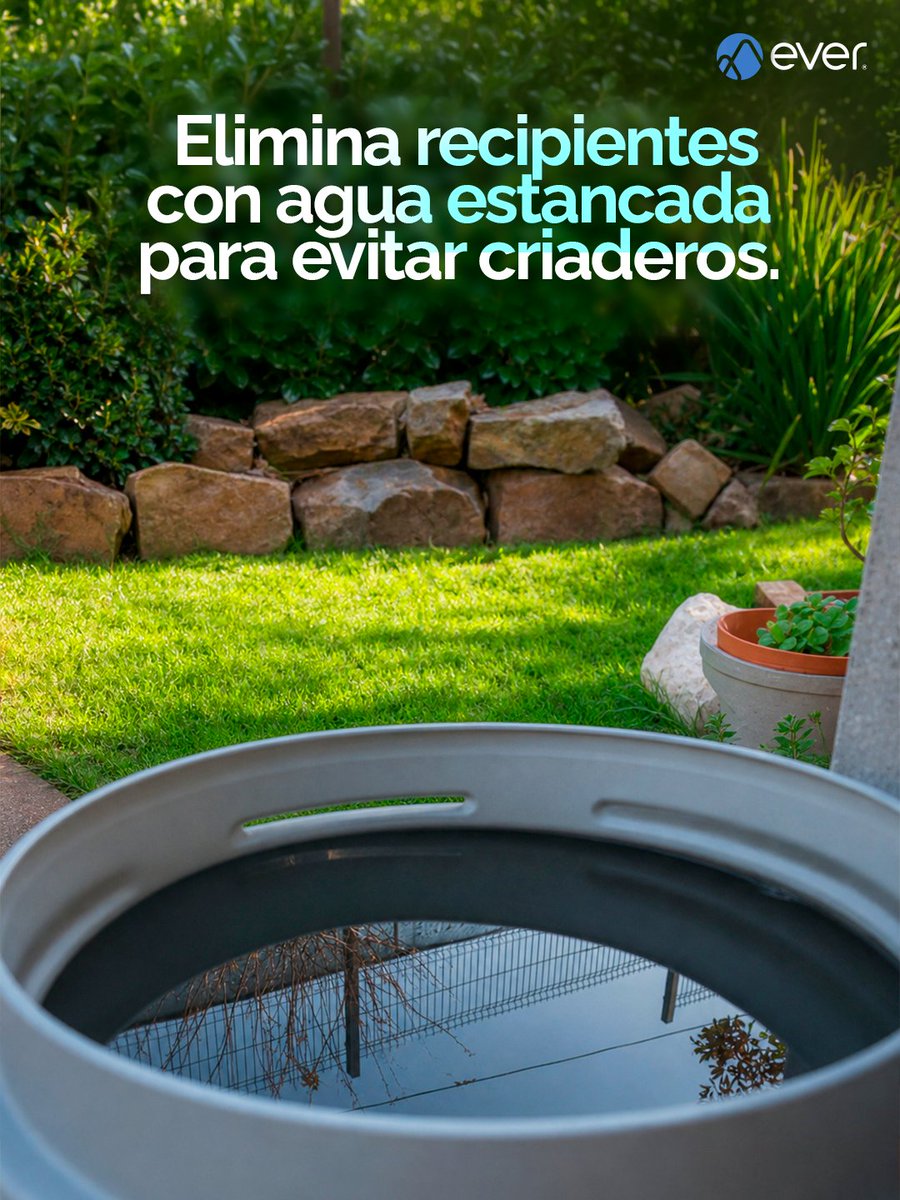 EverInsurance's tweet photo. En el #DiaMundialDelMosquito recordamos prevenir enfermedades como Dengue, Zika y Malaria al viajar o vivir en zonas de riesgo. 🦟

Con EVER® cuentas con asistencia médica global e inmediata ante cualquier eventualidad de salud estés donde estés. 🩺✈️

#forEVERwithyou https://t.co/A6tp1Ger8S