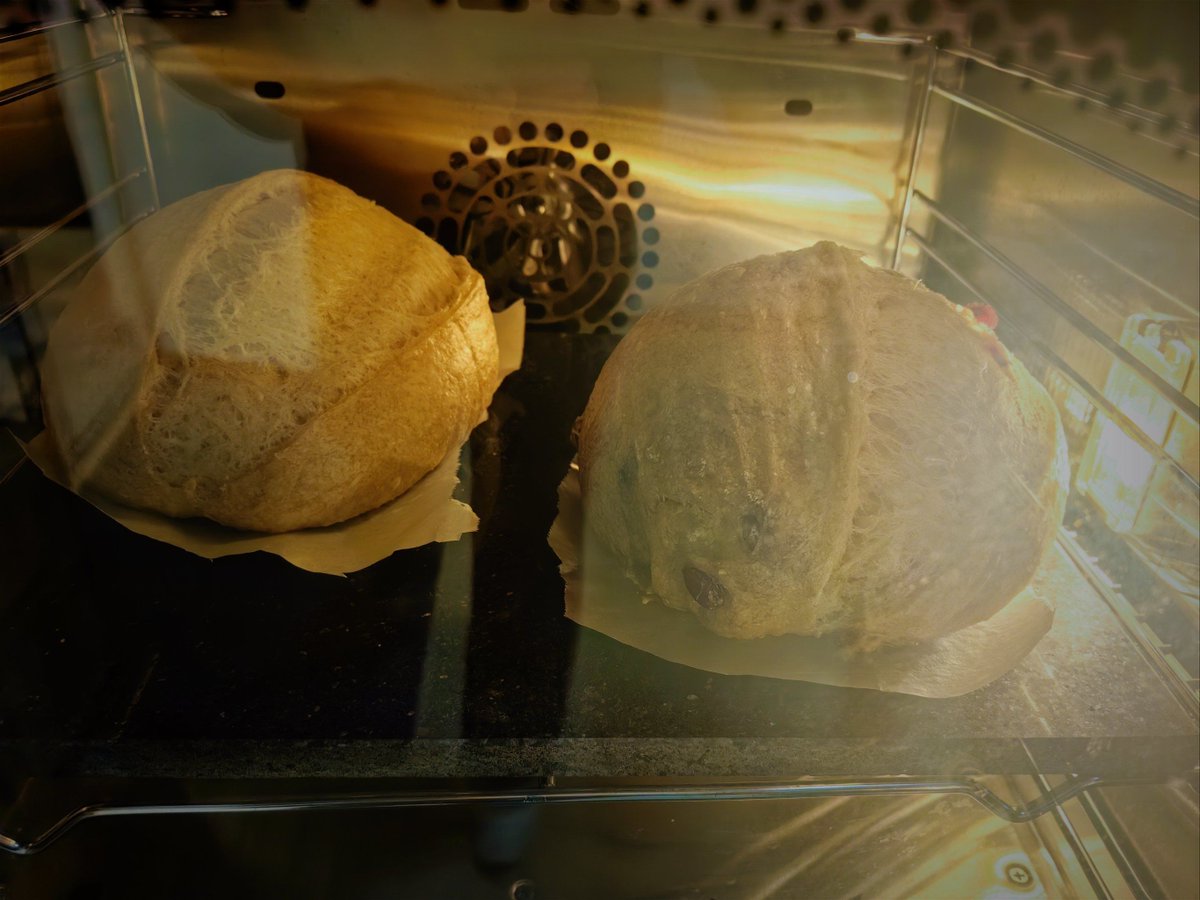 CandillA7x's tweet photo. Just pulled my warm, buttery homemade sourdough out of the oven—crusty on the outside, fluffy inside, and the whole kitchen smells like comfort.  #BakingJoy， https://t.co/C6840skeo0