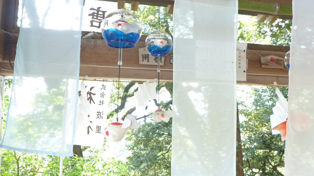 ___95uk's tweet photo. 夏の神社美しい https://t.co/v7ZlXrDoYJ
