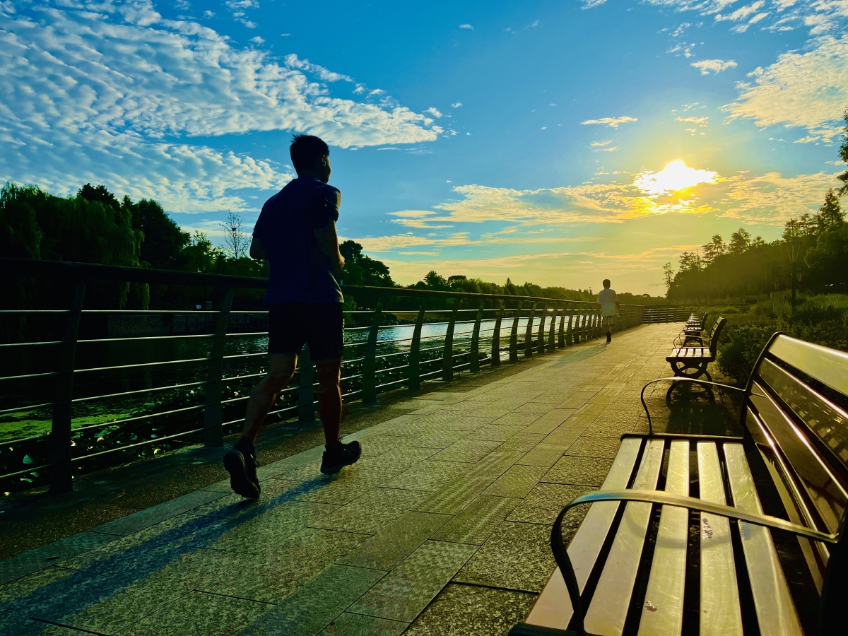 TambitkarSahil's tweet photo. Drove 30km to the lakeside trail this morning, fresh air and sunrise views made the workweek start way nicer! https://t.co/2PSLhp8lAX