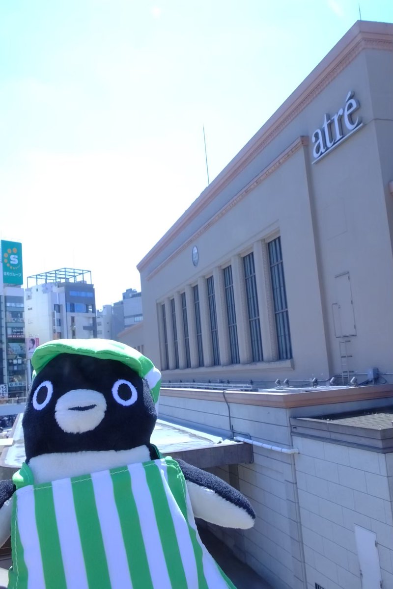 TokyoGreatauk's tweet photo. 仕事で大きなミス��起こったことがわかってしまって対応に追われてます😭
🐧に癒してもらいながら頑張ります… https://t.co/fVOV5P3vbw