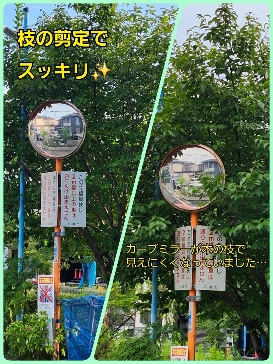 komei_midori's tweet photo. 稲荷6丁目のカーブミラーが
見えにくいとのことで、担当部署に伝えたところ、八潮市の管轄とのこと。
早速、八潮市議と連携を取り
枝の剪定を依頼！
また、逆に八潮市議から道路補修の依頼があり、草加市で補修を！
公明党ならではのネットワークの力で、これからも地域の安全・安全を守って参ります！ https://t.co/kG6Taal2ID
