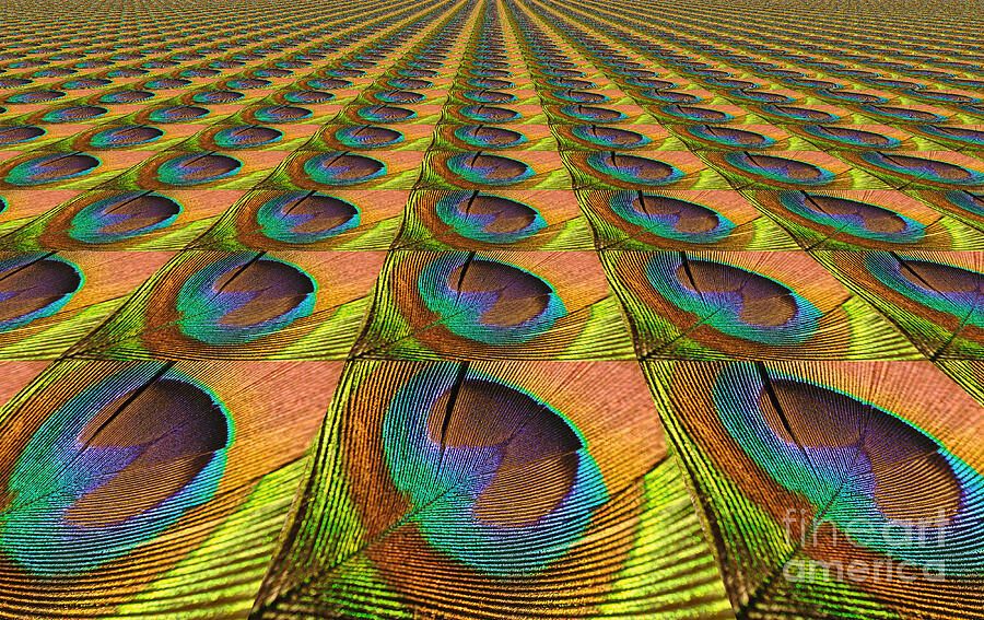 KayeMenner's tweet photo. #Feathered #Landscape by Kaye Menner #Photography
Wide variety #Prints & lovely #Products at:
https://t.co/GT9ZZmB8dJ
#photograph #photoshop #feathers #depth #rows #colorful #homedecor #giftideas #wallartforsale #Art #artforsale #BuyIntoArt #AYearForArt #Artist #FineArtAmerica https://t.co/P86Wu1C0KZ