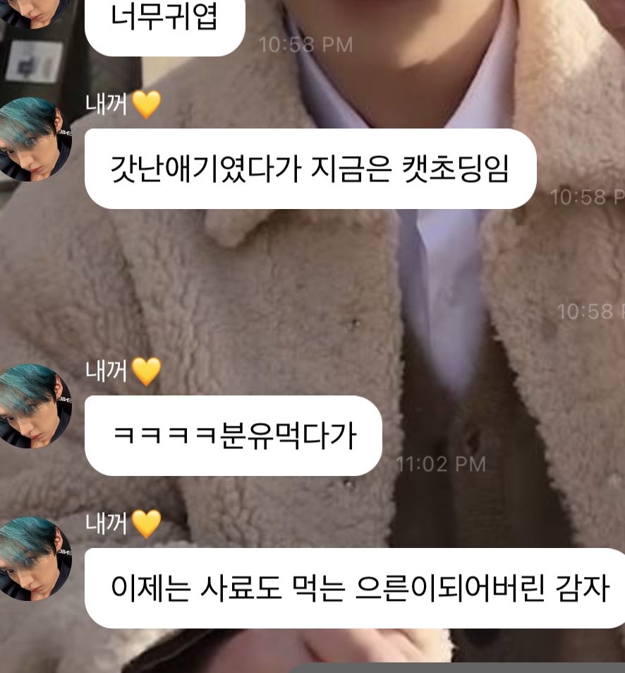 userlinoring's tweet photo. okay going from the 감자 mention i think minho is talking about this baby cat on insta 😭😭💗 https://t.co/asLsTuzAwR