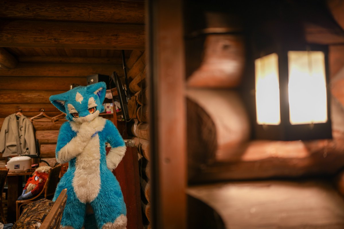 skycatvolare's tweet photo. 🧐🧐🧐
#FursuitFriday https://t.co/eYFEumKCdT