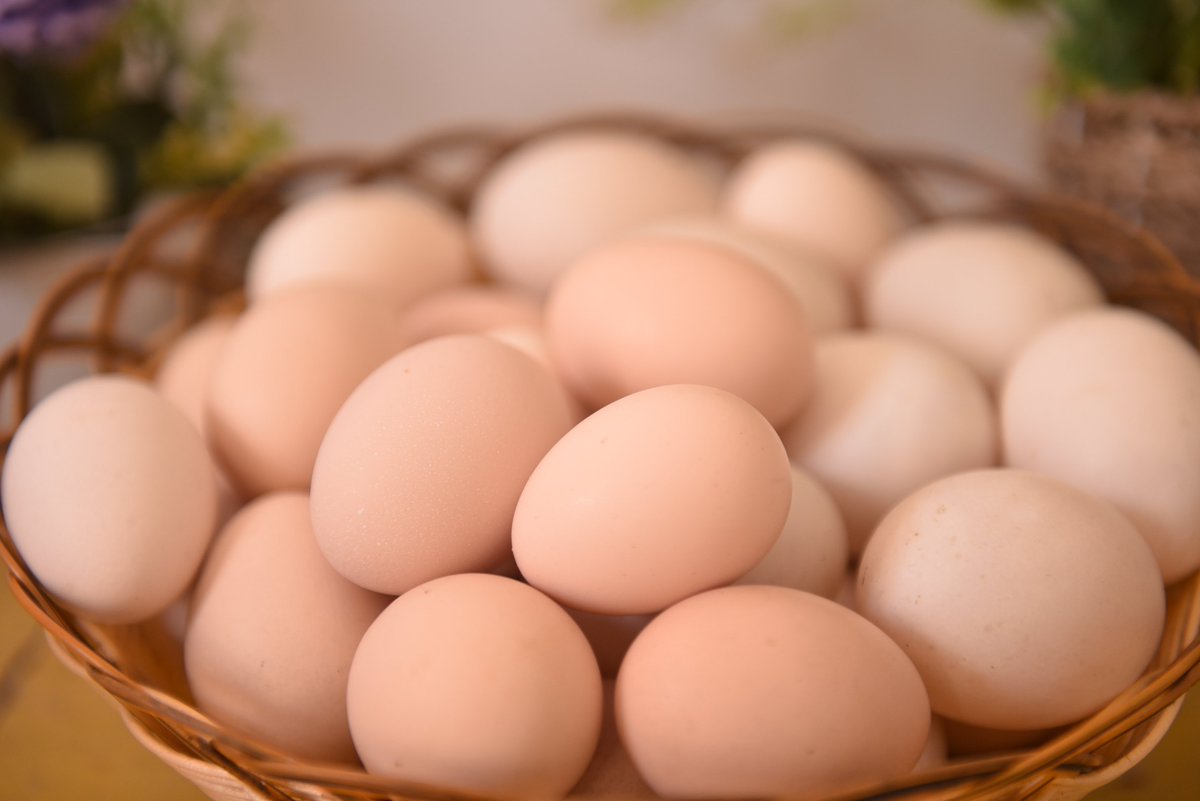 zul881's tweet photo. Stocked up on fresh seasonal veggies, free-range eggs and artisanal bread for the week ahead! No processed stuff, just good, wholesome eats for cozy meals. ， https://t.co/IElMa80cCh