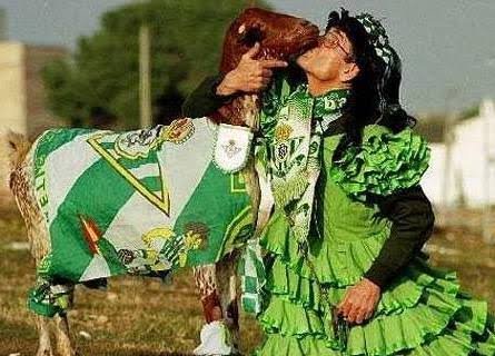 Alexan_Varsovia's tweet photo. @ramirezmaximodc Nunca cambian 🤣🤣🤣🤣 https://t.co/rebjR1eID2