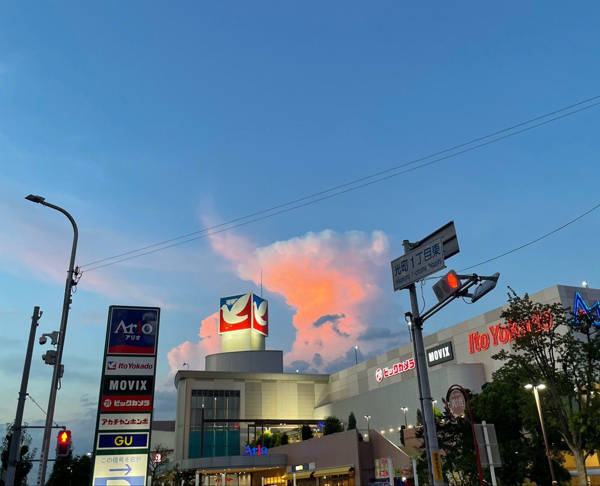 ymd_type0's tweet photo. 空想樹ってやつか https://t.co/xSb2HTMJ1n