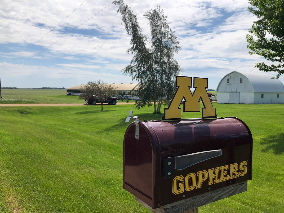 A rural scene with a maroon mailbox displaying "Gophers" and a large golden "M" logo. In the background, there are farm buildings, a tree, and a large grassy field under a partly cloudy sky.
