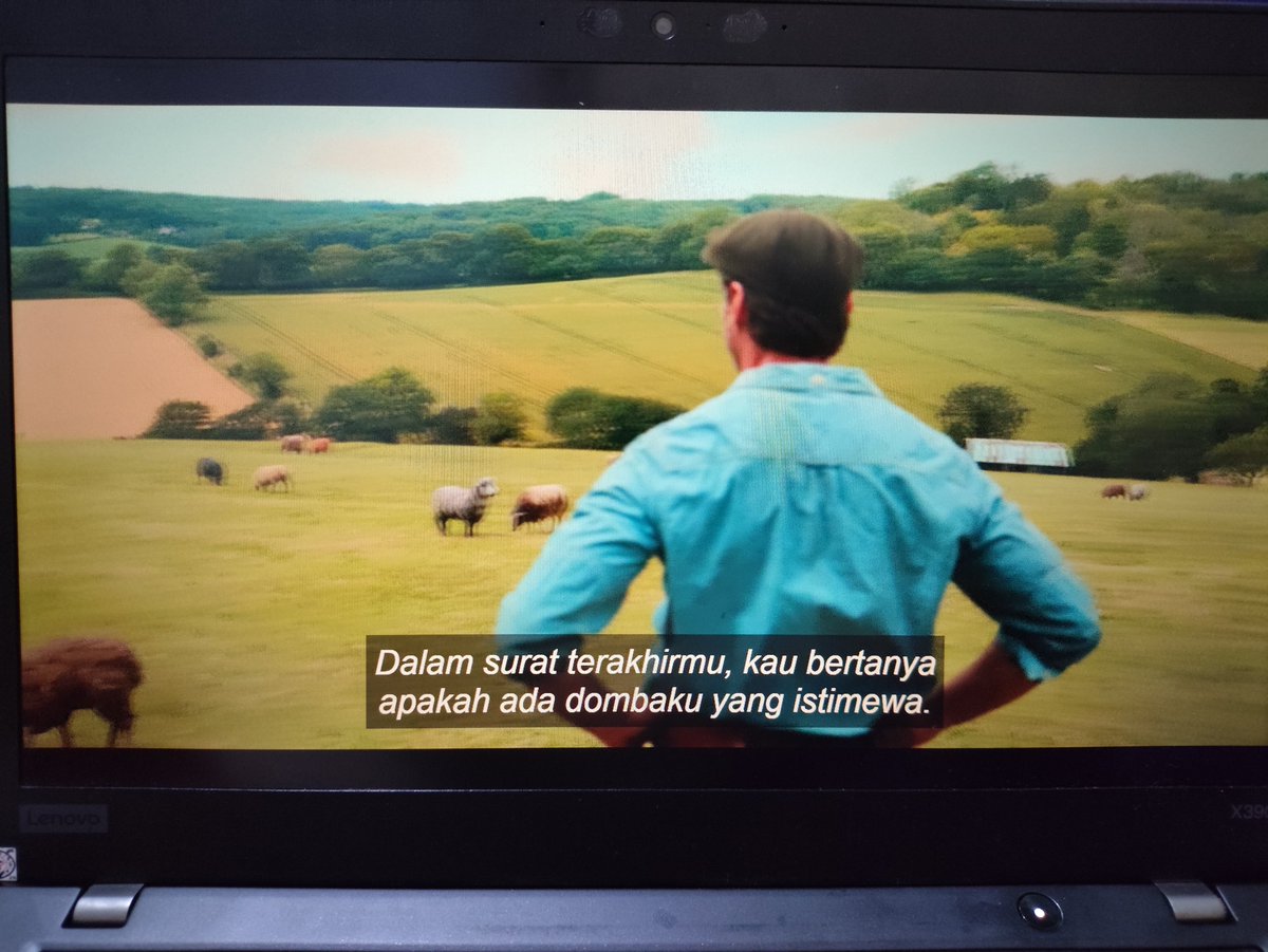 bedtoun's tweet photo. now watching #TheSheepDetectives https://t.co/KOhkdDN5Xi