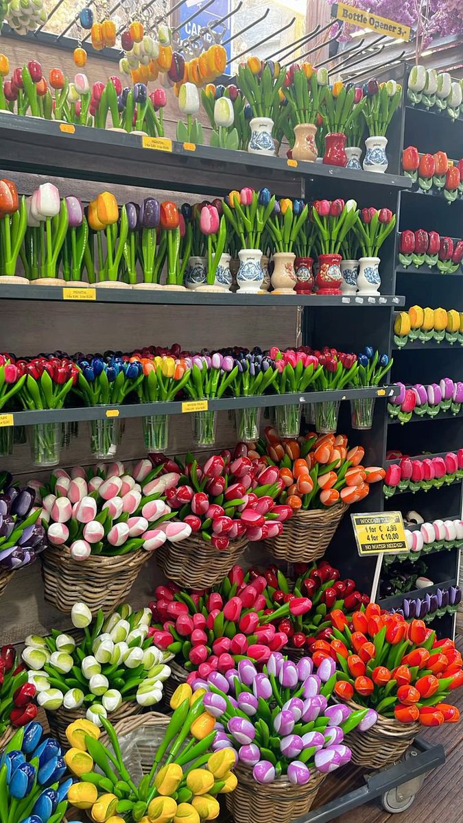 FLOWERS3700's tweet photo. https://t.co/RVgbSvjys5