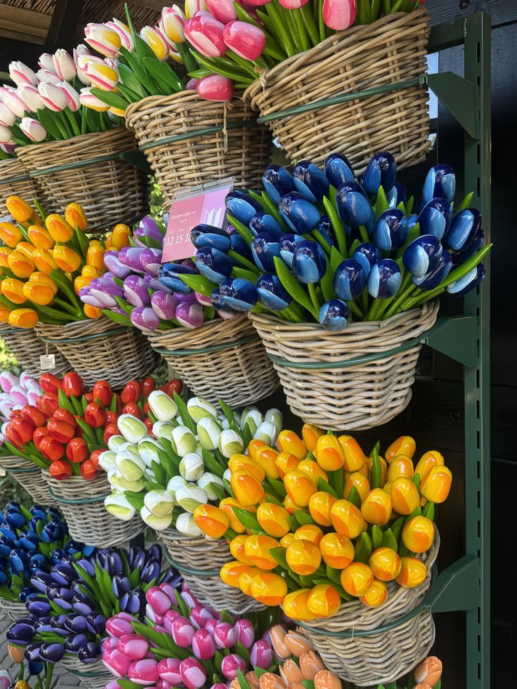 FLOWERS3700's tweet photo. https://t.co/RVgbSvjys5