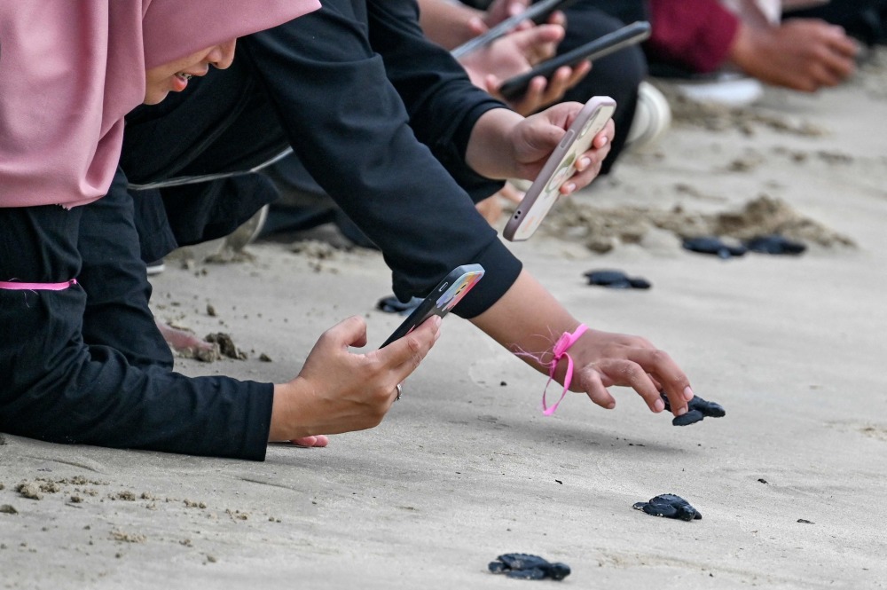 fsrs_jed's tweet photo. Just wrapped up 3 days of beach cleanup with amazing local volunteers! Picked up 20kg+ of trash, saved 7 tiny sea creatures from plastic. Small acts add up  #VolunteerForOcean https://t.co/lhyaLofaLD