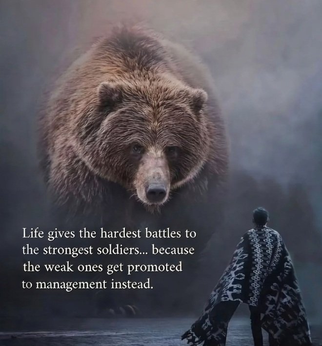 darkhumour2026's tweet photo. To boost team morale schedule meetings with a grizzly bear.
#FailingUpward
#PromoteTheMediocre
#BearFodder
#CorporateSurvivalOfTheFittest
#EatenByMyBoss
#MiddleManagementSucks
#HardWorkGetsYouEaten
#NaturalSelectionAtWork https://t.co/zkrDVnldIK