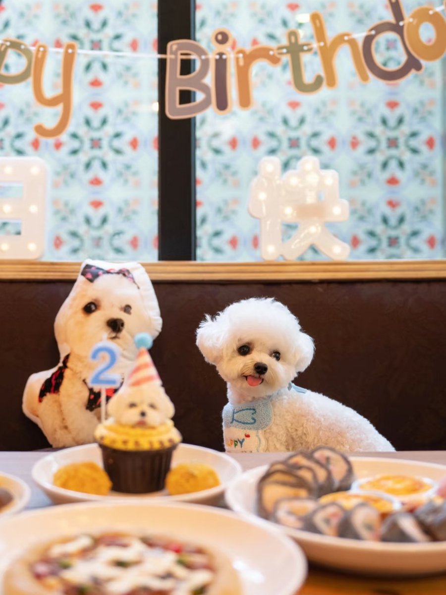 youssefaa17's tweet photo. My pup grew from a tiny furball to a silly long-legged buddy in just 8 months—today we celebrated his first birthday with his favorite peanut butter cake. https://t.co/OX1dZCftXh