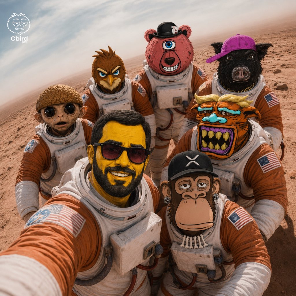 CommonBird_XRPL's tweet photo. Different projects. Same destination.
Plenty of room on the rocket for the homies. 🚀 ripple:native https://t.co/2IGXvIspW9
