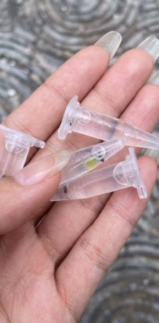chic_siren_'s tweet photo. I have a 15-year-old son. He lives with his father and only comes to stay with me on weekends. When he came over on Friday, I found a bunch of these things in his bag. Does anyone know what they are? My son is completely avoiding the topic and won't tell me... Please help 😭 https://t.co/oS1YcjrxCu