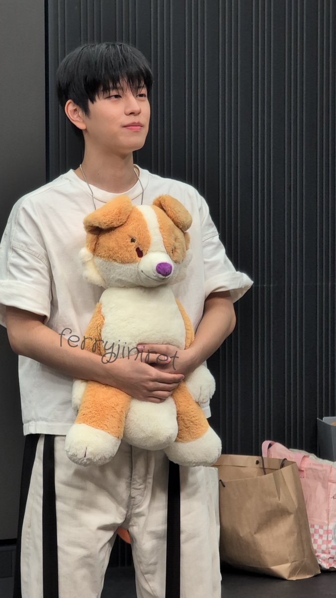 ferryjiniret's tweet photo. Seungmin with my puppy ❤️ 
Felix with my Lion ❤️ 
Lee know with my cats ❤️ 
Hannie ... In my jacket...

260820 Makestar https://t.co/Q9B0b28QnA