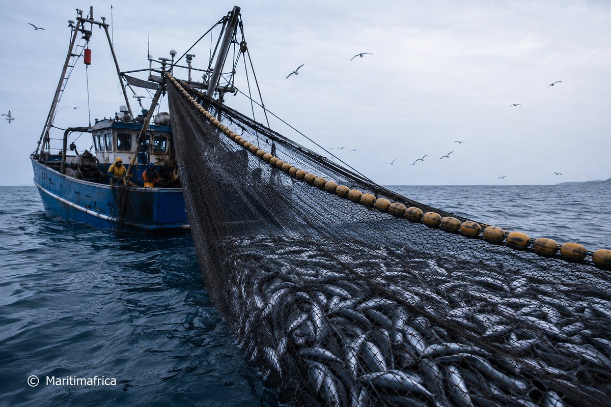 maritimafrica's tweet photo. 𝗔 𝗹𝘂𝗽𝗮 - A Declaração de Mombaça: um compromisso coletivo por uma pesca mais transparente e sustentável
https://t.co/IF5IQ6aqmL
#maritimafrica #notícias #África #navios #DeclaraçãodeMombaça #transparência #pescas #ALupa https://t.co/YhAZ92BNyT