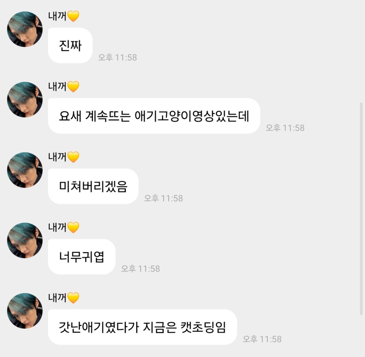 linoluhvs's tweet photo. lee know is currently obsessed over this kitten named gamja and he keeps watching the baby’s video 😭😭 the he said he’s going crazy over it bcs the kitten is too cute 😭💔 https://t.co/AVWJfLe1Ks