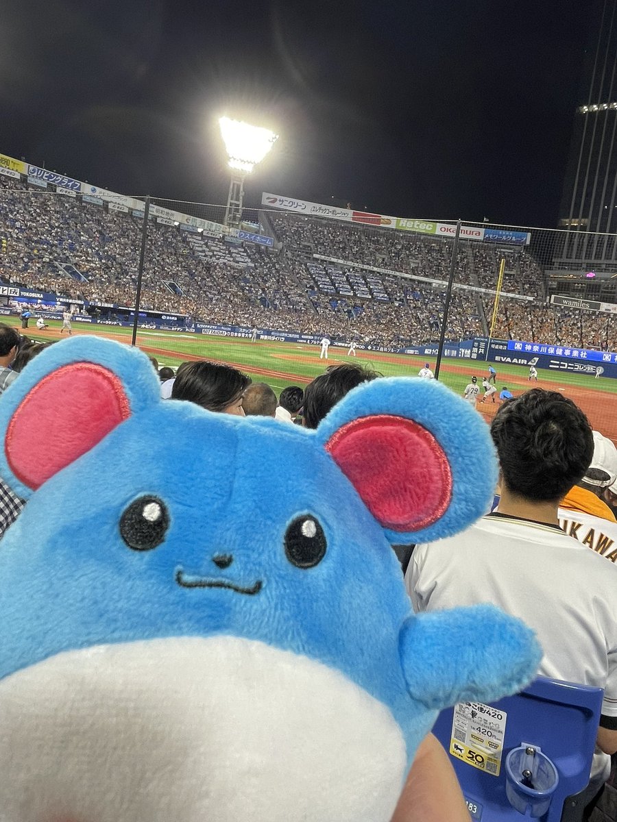 aki_QOL's tweet photo. 今年も総長の勇姿を拝見しに漢祭へ行きました！！
やっぱり、夏は漢祭！！ https://t.co/kZafUVFRUa