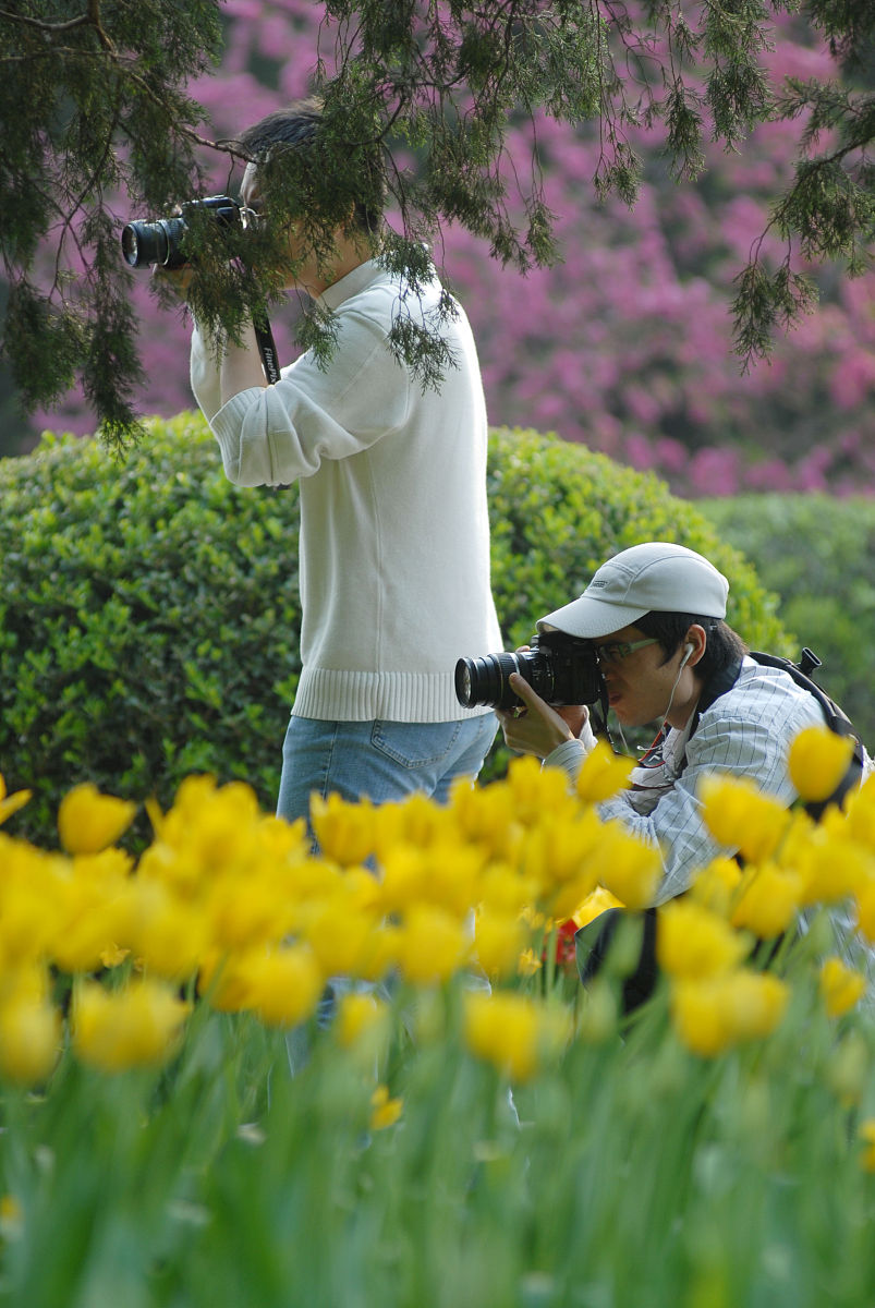 Rachel58608394's tweet photo. Hey everyone! Our campus photography club’s outdoor shoot is this Sat (2-4pm at the Central Lake) – grab your gear, meet fellow shutterbugs, and capture the spring vibes! Free for all members, newbies welcome too https://t.co/pz7EtsA15i