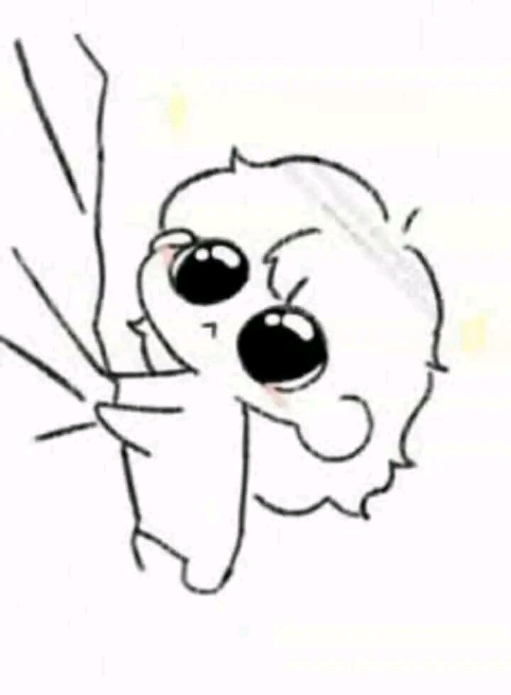 Castlehiil's tweet photo. pstttt pstttt https://t.co/stC0zZyTu0