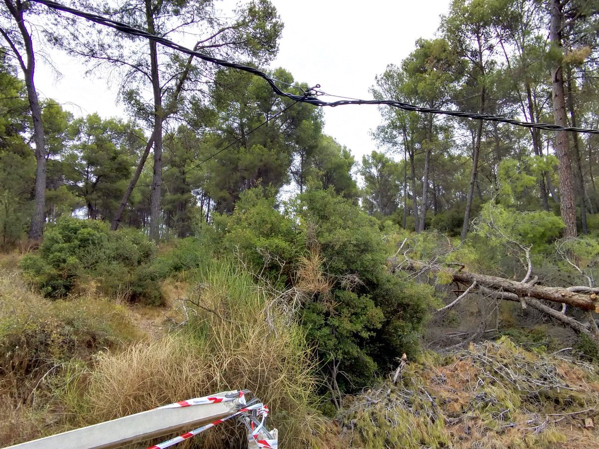 skylarhorizon's tweet photo. Quiero denunciar públicamente la peligrosa situación en la que se encuentra un tramo de la línea eléctrica tras el desplome de una torre de hormigón por la caída de un árbol. #Fontdelllarguerut 
La solución.. atarlo a otro árbol !! .@Endesa .@emergenciescat  .@AjuntamentSVH https://t.co/dgpr0bFbTT