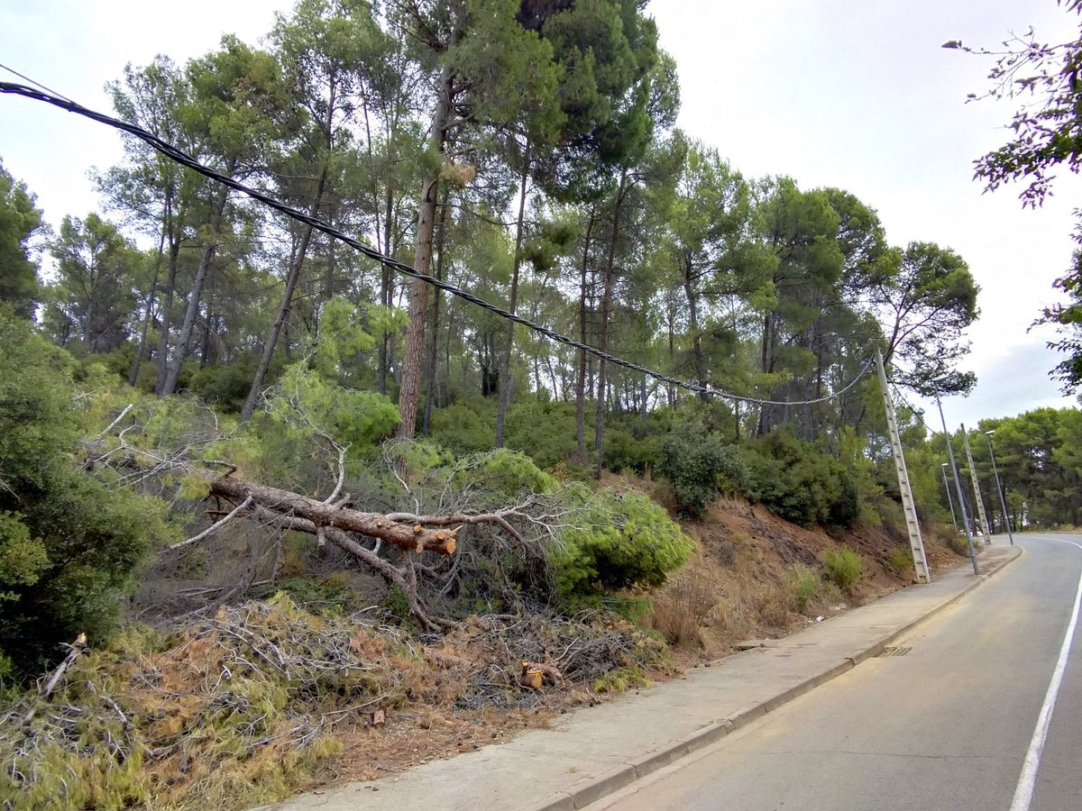 skylarhorizon's tweet photo. Quiero denunciar públicamente la peligrosa situación en la que se encuentra un tramo de la línea eléctrica tras el desplome de una torre de hormigón por la caída de un árbol. #Fontdelllarguerut 
La solución.. atarlo a otro árbol !! .@Endesa .@emergenciescat  .@AjuntamentSVH https://t.co/dgpr0bFbTT