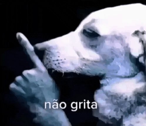 helloxandinha's tweet photo. o twitter só tem gente dodói mesmo kkkkkkkkkkkk depois não chora quando a galha for na sua cabeça https://t.co/ehKEtOEpUx