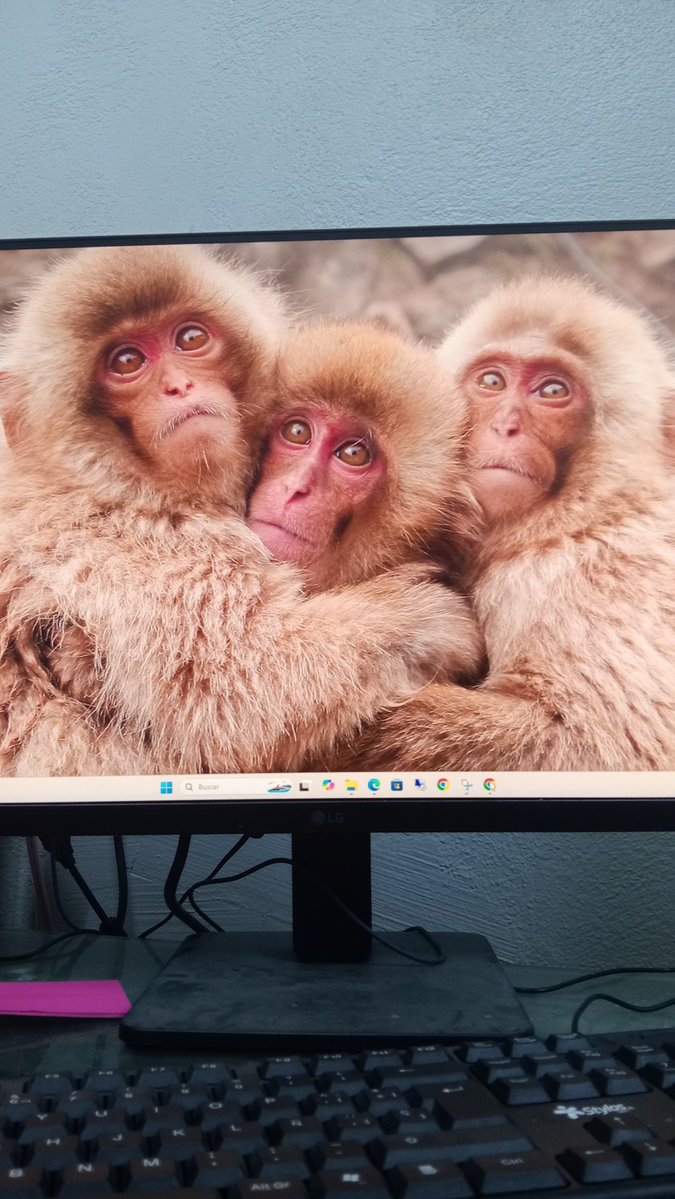 Jimichyy's tweet photo. m sako un susto el fondo d la compu d la chamba, siento q me observan https://t.co/lDez5hghTm