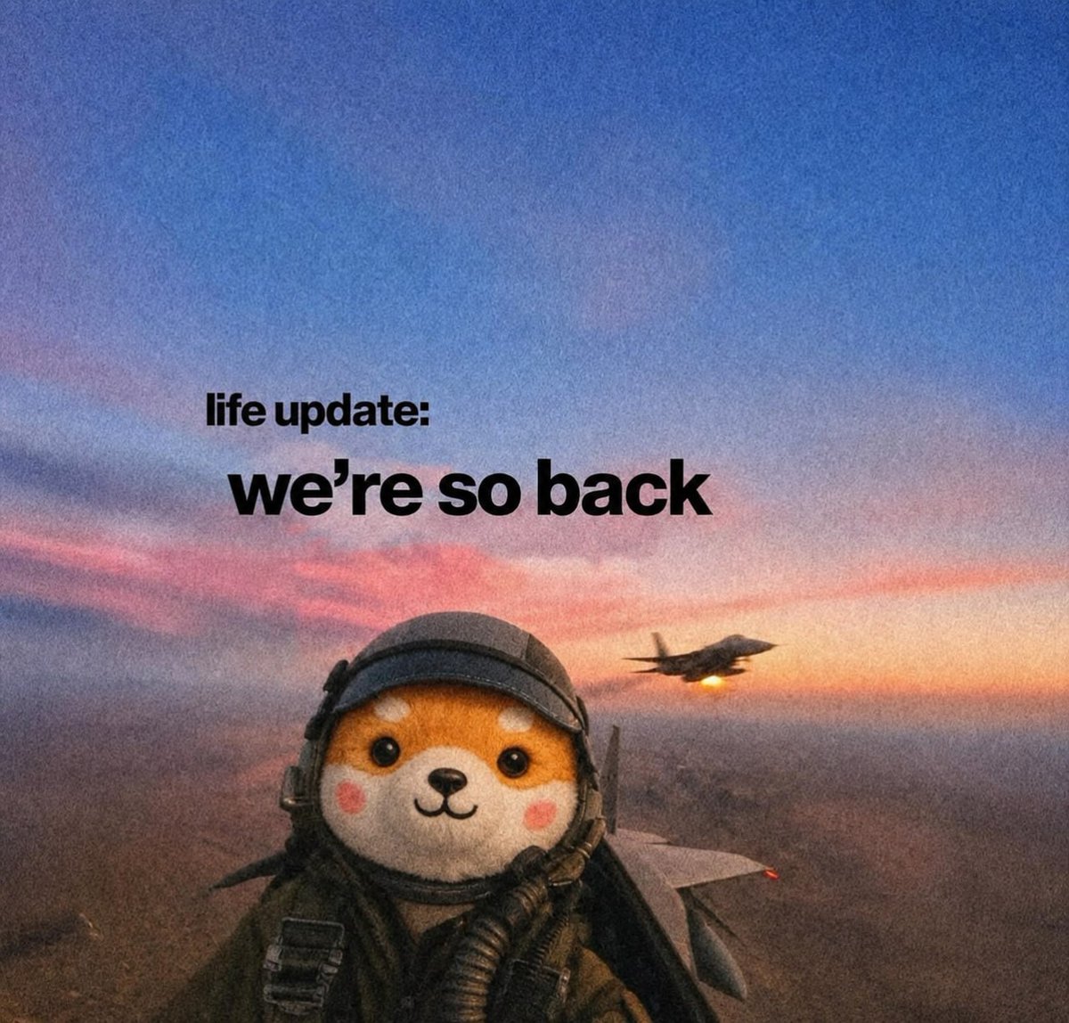 AsteroidCoinOG's tweet photo. On to the next chapter. https://t.co/JMmHNdILej