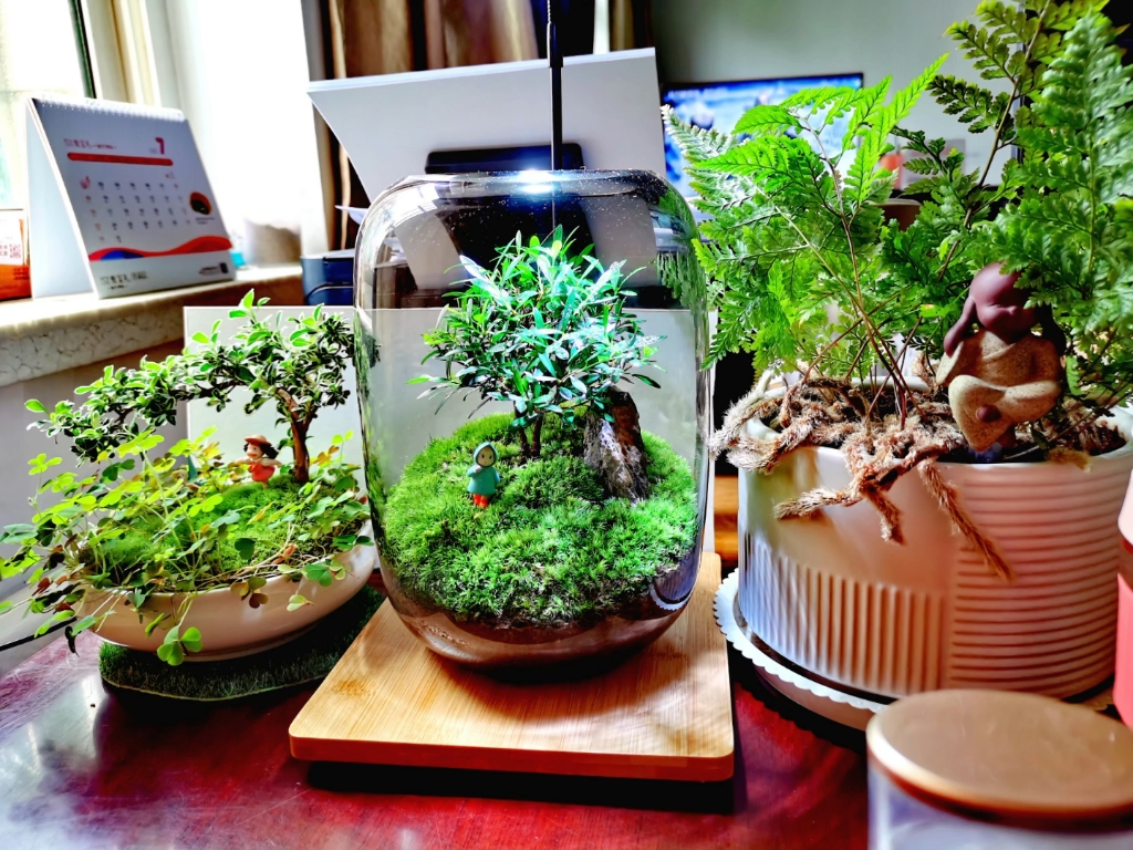 09RockmaN30's tweet photo. [Upcycled old glass jars into cute hanging planters for my desk!  No new supplies needed, just some string and a bit of creativity. Small changes make big joy!]， https://t.co/bTyEtVq1L7