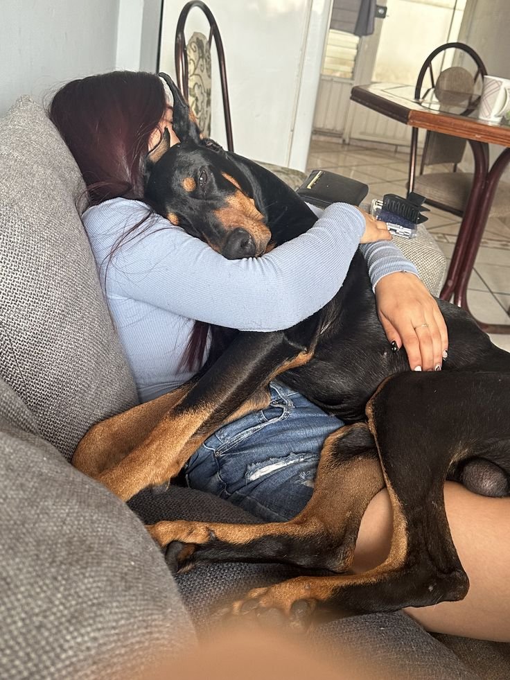 sylviahounds1's tweet photo. It's always love here, link on my bio to watch how my dog and I spend our day🥰🐾❤️ https://t.co/iDKMFq5kc3