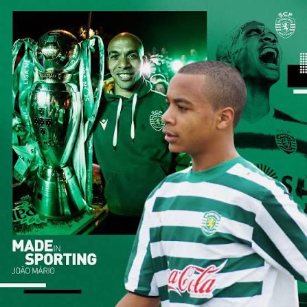 kevinaraujof's tweet photo. A lesson for @SportingCP fans - never trust a João. https://t.co/vb2VhfBWOC