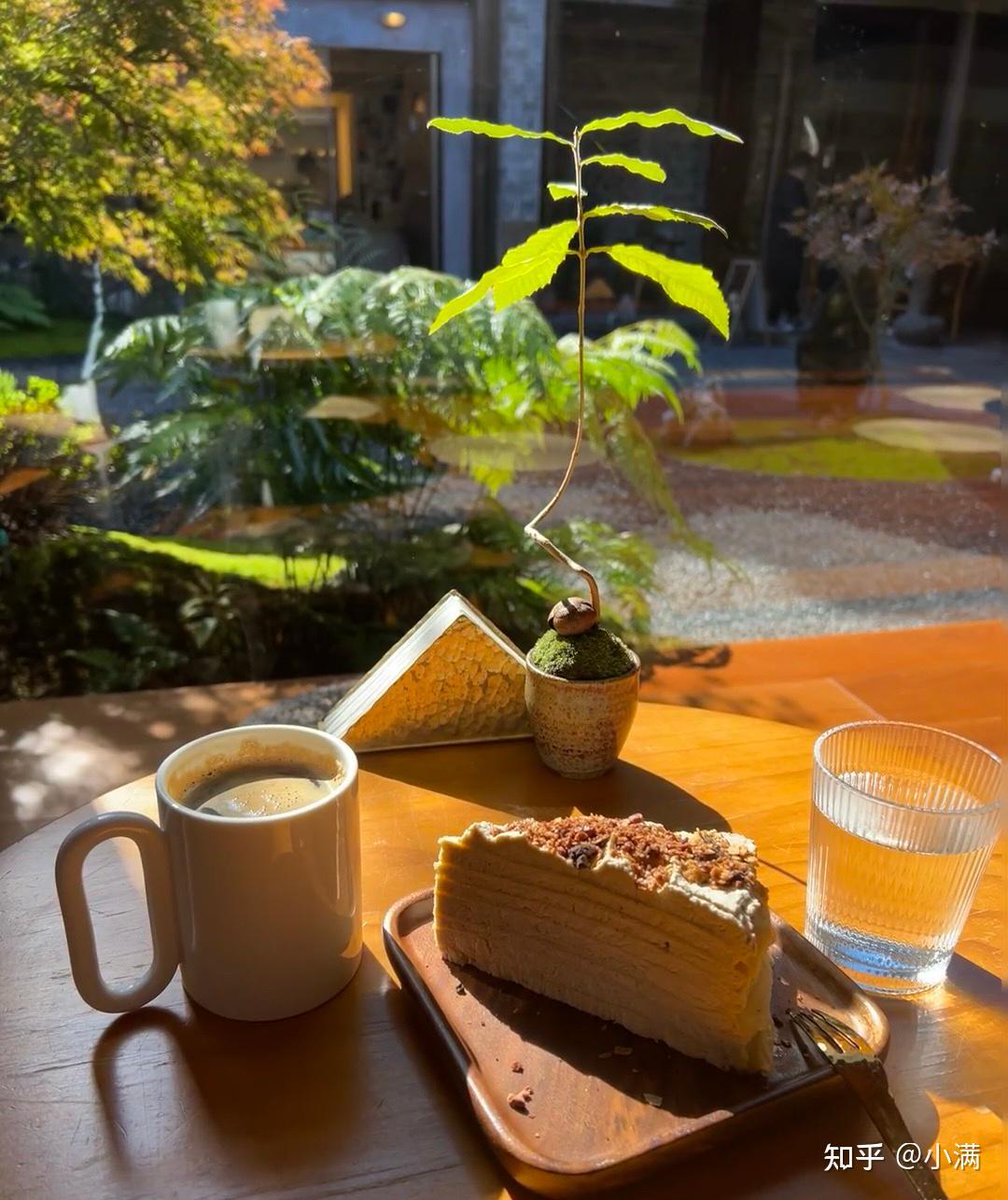 thxm545137's tweet photo. Spent the morning wandering the sun-dappled lanes of a tiny hill town, sipped warm homemade lemon tea at a corner café, and left with a pocket full of wild flower seeds—this is the kind of quiet magic I chase https://t.co/nSOGZd3ePU