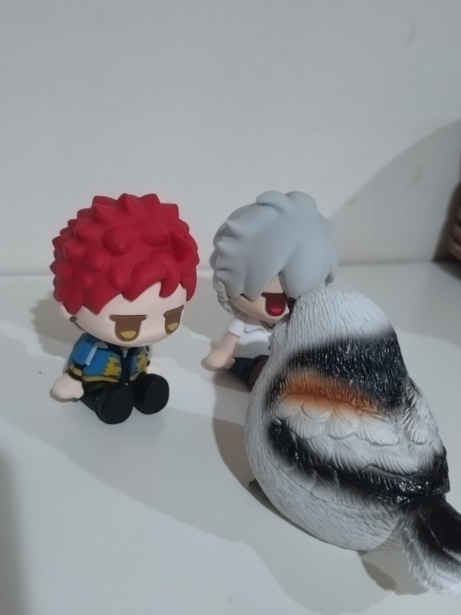 125k358's tweet photo. あ、これシマエナガです。
シマエナガに詰められるｶｼﾗｧとｾｯｿｰが可愛くて可愛くて https://t.co/VRuM6pOM9O