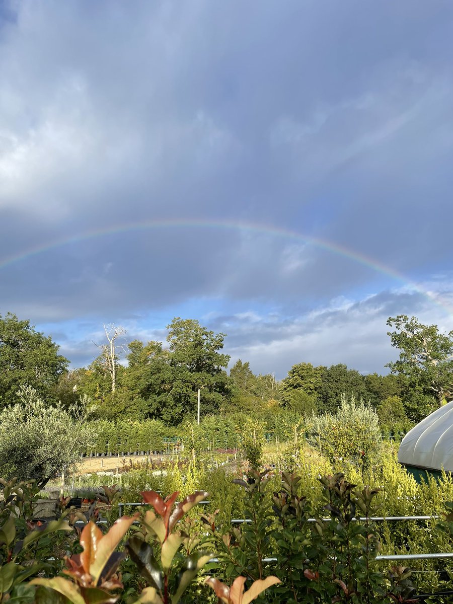 WanderinPilg's tweet photo. A little bit of colour after the rain. 🌈 https://t.co/PXQlqpra3y