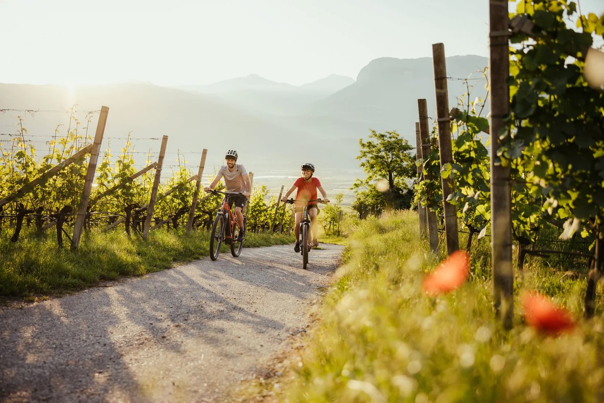 WineNewsIt's tweet photo. #Bike in #AltoAdige, #musica in #Toscana e #bollicine in #Romagna: #eventi agosto by #WineNews. Da #ATavolaConIlNobile” a #Montepulciano al “#Franciacorta in #cantina”, passando per #Naf - #NoseArtFestival a #Montefalco da #Scacciadiavoli, https://t.co/BG2qQ1g1Oj https://t.co/4Qpx7Urk30